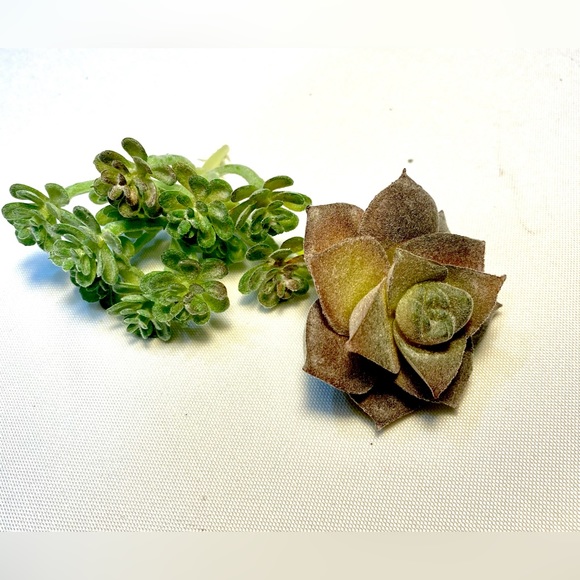 Artificial 20 Succulents Plants Fake Unpotted Decoration Realistic Faux - Picture 6 of 17